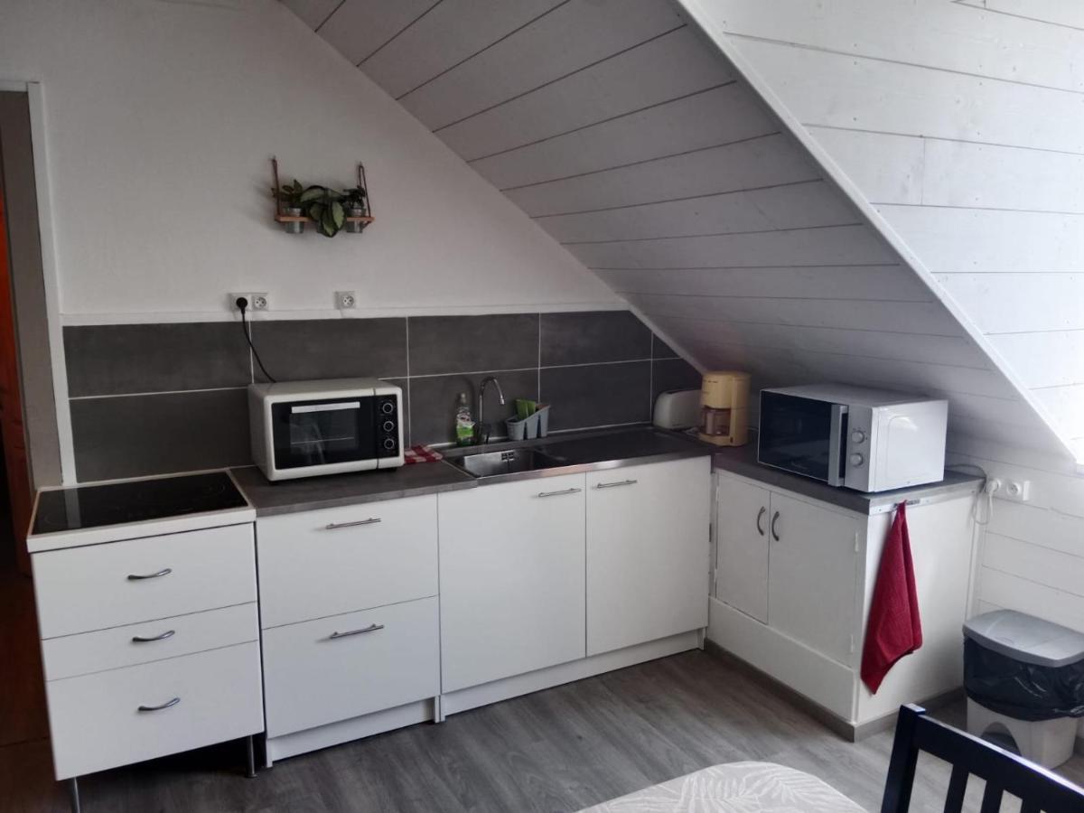 Charmant Appartement Au Centre De Bagnères-de-Bigorre Dış mekan fotoğraf